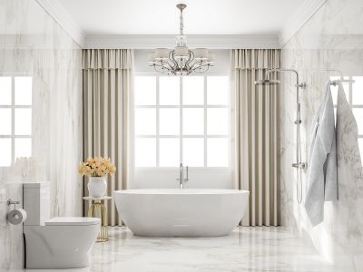 Luxurious Master Bathroom
